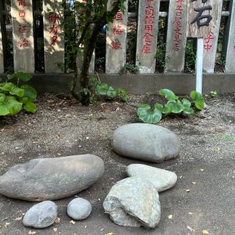 持てるかな💪