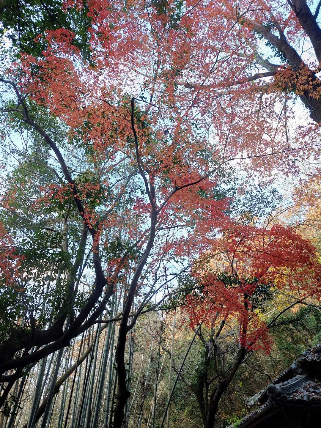 少しだけ残ってました🤗