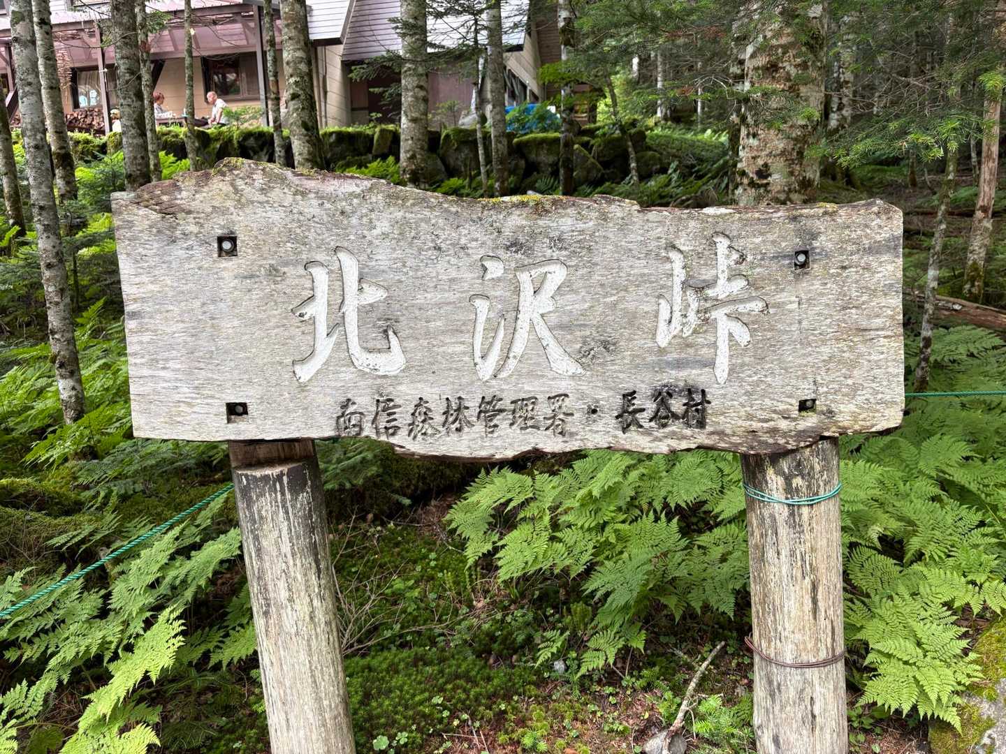15時のバスに間に合った🚌