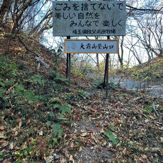 大霧山登山口まで降りたらしばらく舗装道