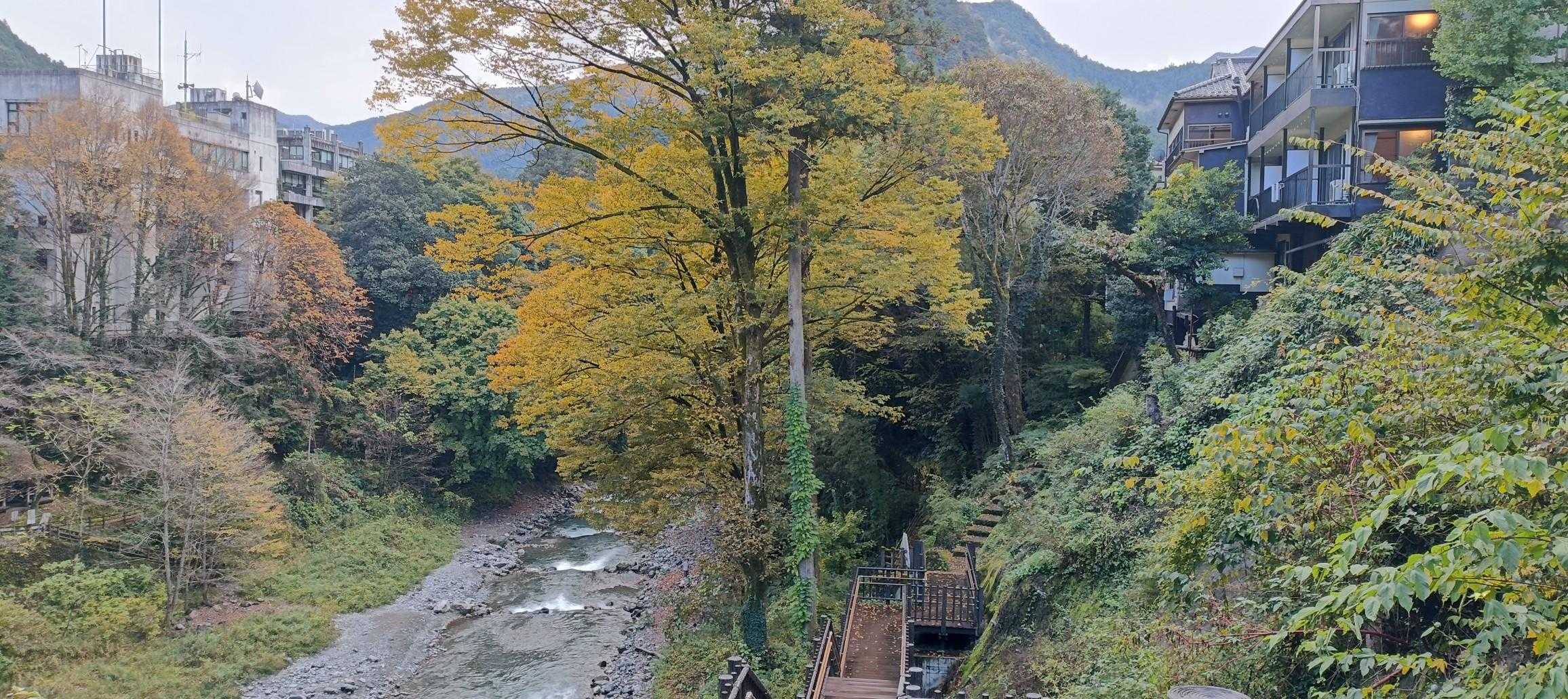 氷川渓谷は奥多摩駅から徒歩で探索可能で歩道がついております。