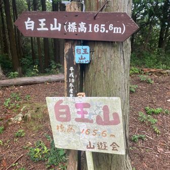 からの白王山