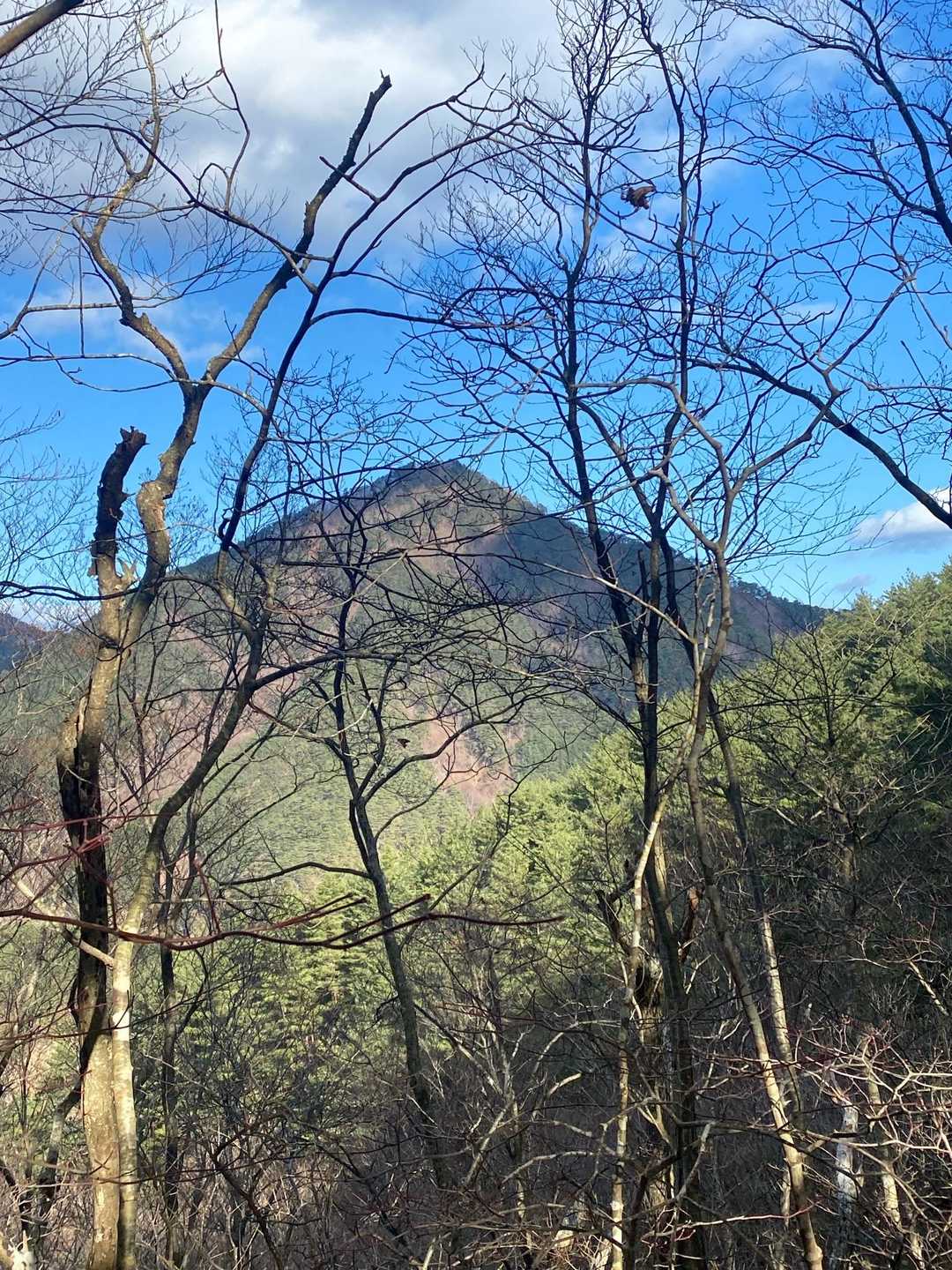 こちらがトド山