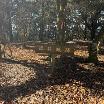 松尾山山頂にある山城跡。戦国時代末期に丹波酒井氏によって築かれ、明智光秀の丹波攻略に対する最後の拠点の一つとなったそうです。Google調べ。歴史的に感慨深い。。