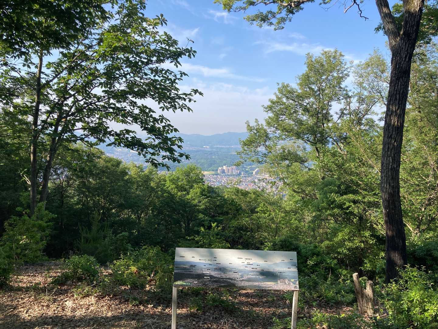 山頂から川西側