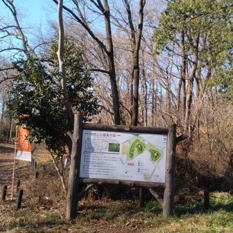 前山、中山は後にして。