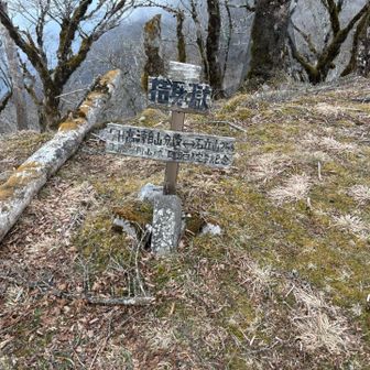 西峰に着くまでが何故か全然馬力上がらず
ここの手前はなだらかなのに不思議とスタミナをごりごり削ってきて大崩の山頂付近にそっくり