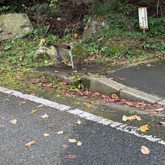 湧き水のところに以前は瓶がありましたがいつの間にか無くなっていました