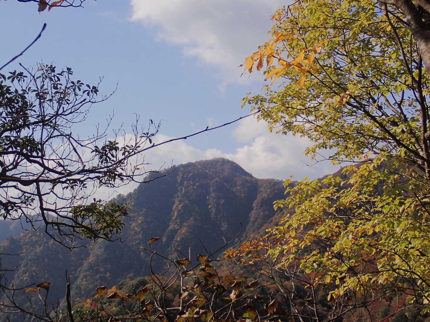 鈴鹿主稜線の水沢岳（宮越山）がチラリ、1000m以上ピークでは鈴鹿山脈最南