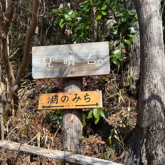 at見晴台 明るくて開けてる。ここで休憩するのも良さそう