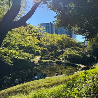 日差しがまぶしい