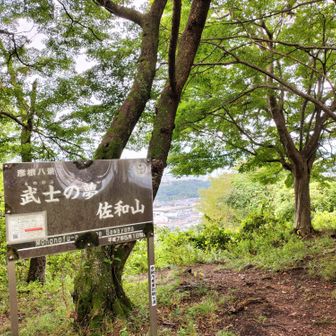 徳川時代の到来を決定づけ、戦国の終わりを加速させた象徴的な場所ですね。