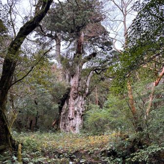 そして階段を上り下りを繰り返してやっとこ到着！