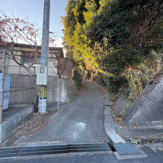 GPSみてないと見落とす💦