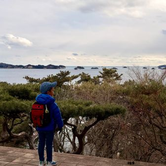 双観山展望デッキから松島の眺め