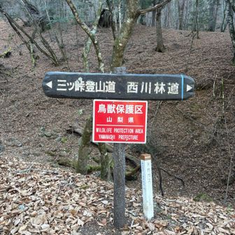 三ツ峠登山道へ