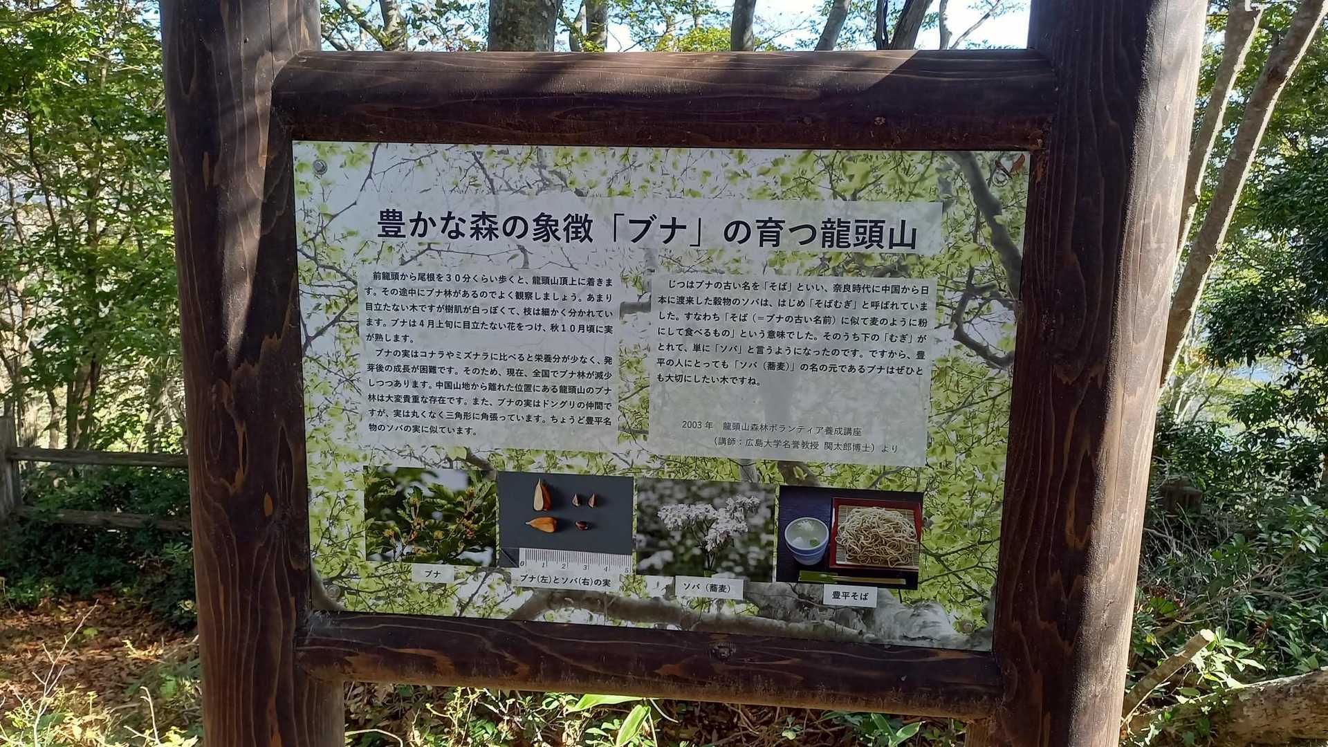 龍頭山バス停-龍頭山-掛札バス停 縦走コースの写真