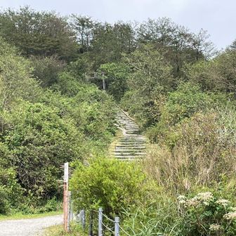 頂上から下山し、ロープウェイ駅から撮影。
頂上へ続く階段。
日影は無くロープウェーの隣の東屋で昼食をする。