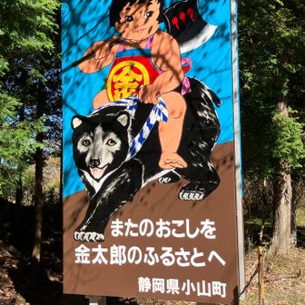 近くに熊注意⚠️の看板があるのに、ここで熊にまたがる金太郎さんが出てくるのが面白い。スゴすぎるよ🤣
