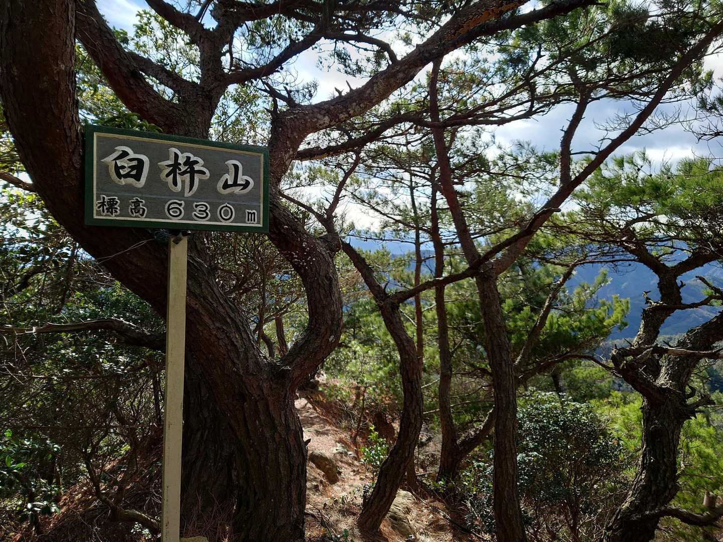 鬼ヶ牙登山道入口-鬼ヶ牙-長坂の頭-船石-臼杵ヶ岳 周回コースの写真