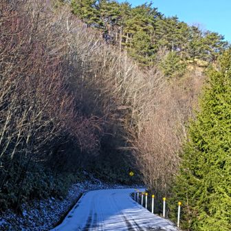 南アルプス展望台付近は日当たりが悪く雪がある😨
肝心の展望台は枝が多く、ここまで来る価値は無い😮‍💨