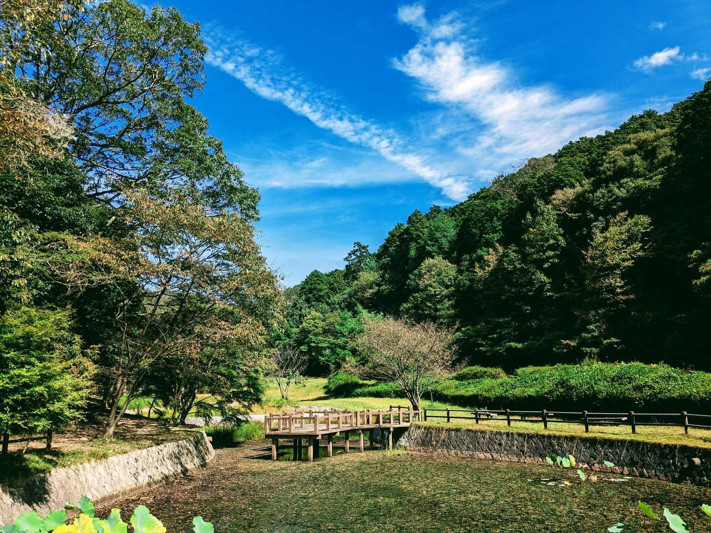 随願寺-増位山-弥高山-廣峯神社 周回コースの写真