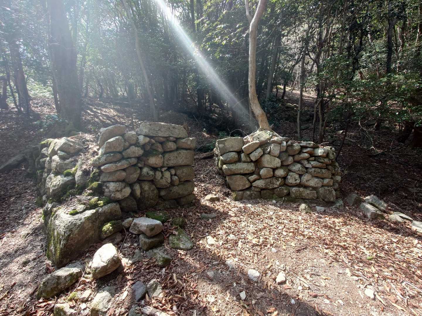 なんか遺跡っぽいのありました