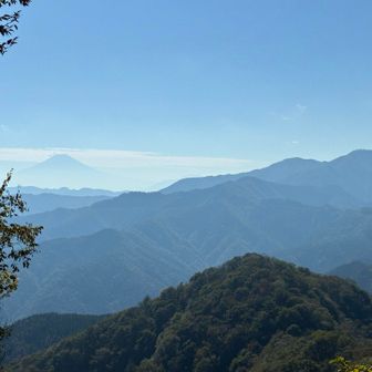 富士山見えました