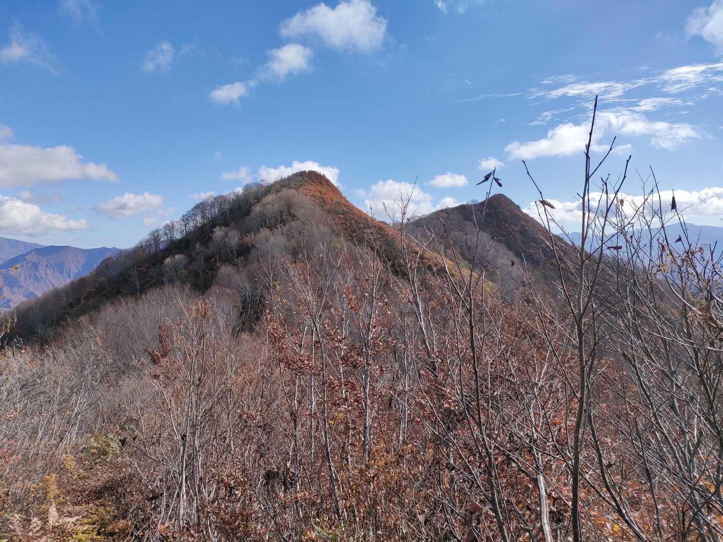 権現堂山登山口-下権現堂山-上権現堂山-唐松山 周回コースの写真