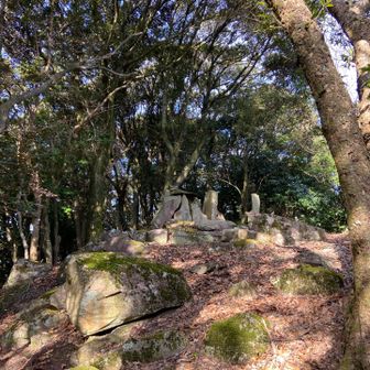 見えた　山頂か？