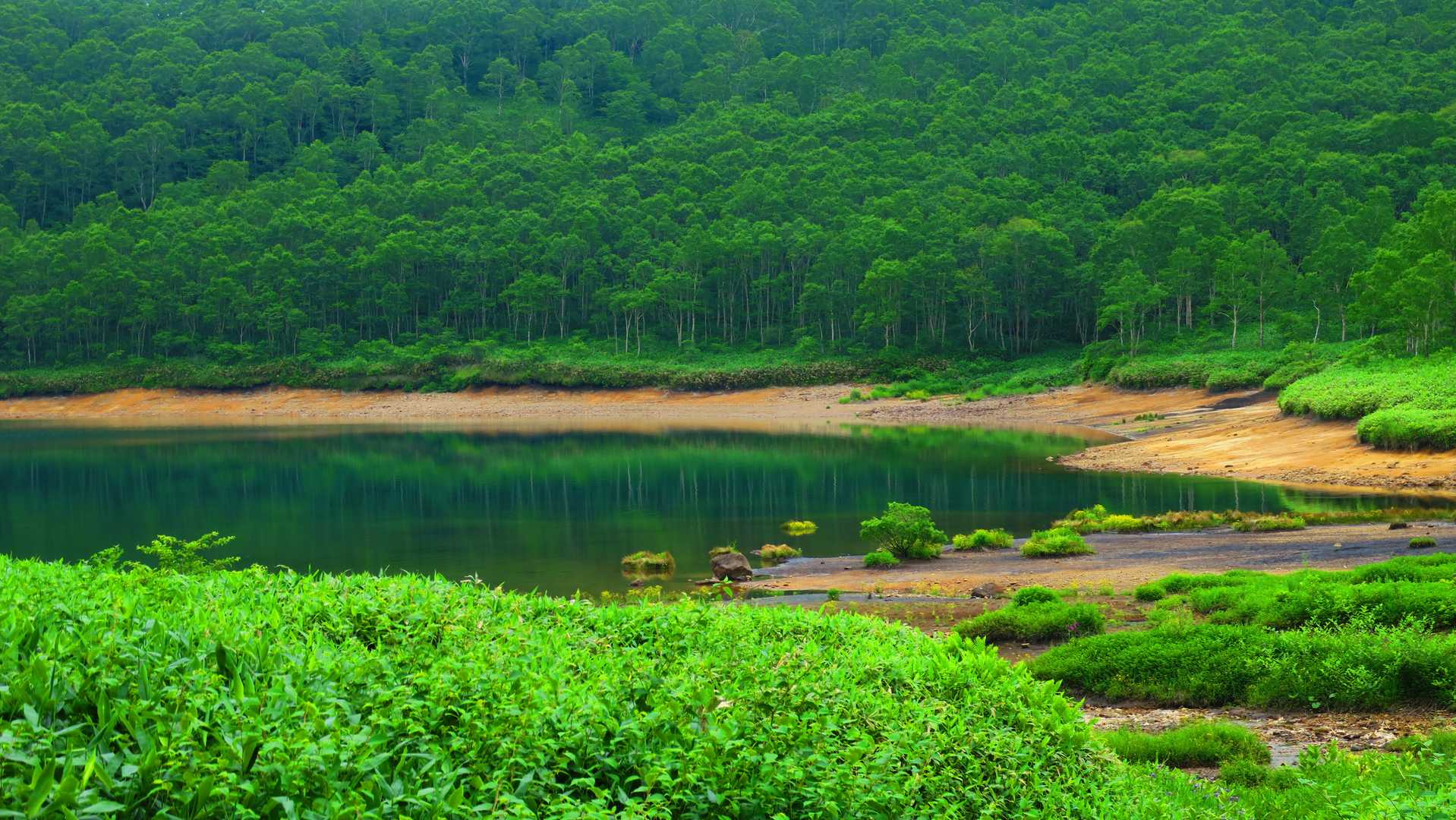 ここも水鏡が綺麗
人造湖とは思えない雰囲気