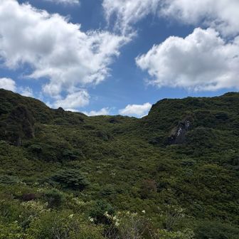 夏の雲だ。