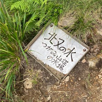 栂海山荘の手前、北又の水場で水を汲む
水場まで往復10分位
冷たくてまろやかで美味しい水