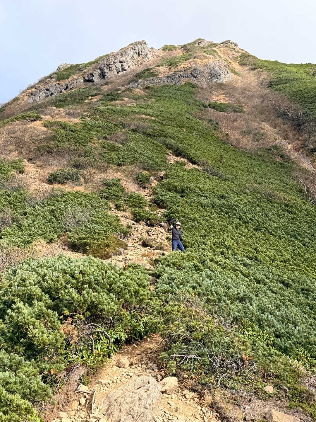 舟山十字路-立場岳-青ナギ-阿弥陀岳-御小屋山 周回コースの写真