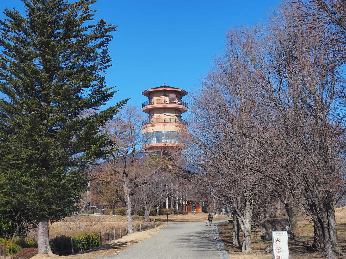 鳥居山 往復コースの写真
