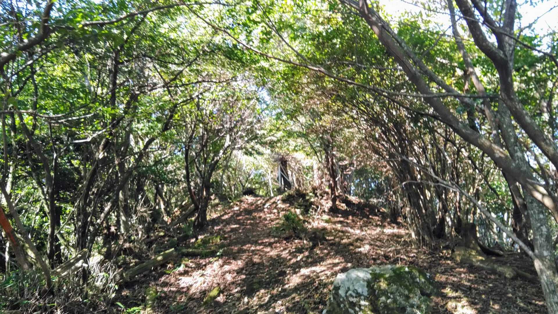 山頂はこの先だ