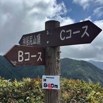 Cコースとの分岐