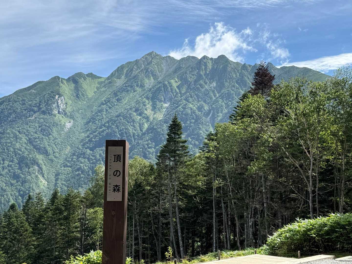 山登らないで見るだけでも十分✨