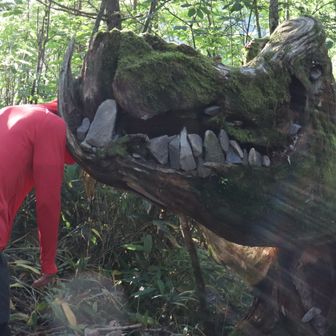 *⊹/𝒔𝒘𝒕𝒏\✳°