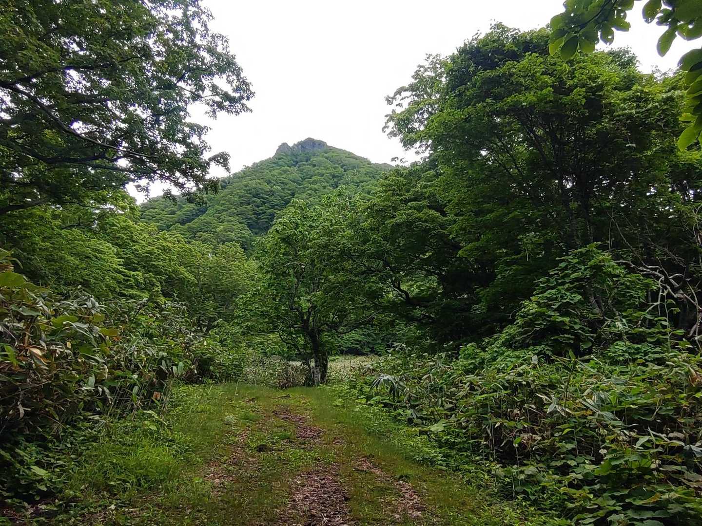 見えた🏔