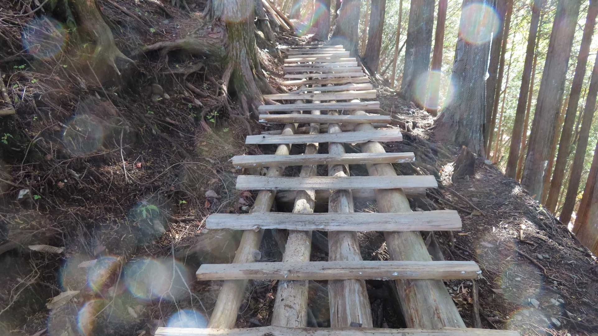 登山道の崩落箇所にかけられた橋