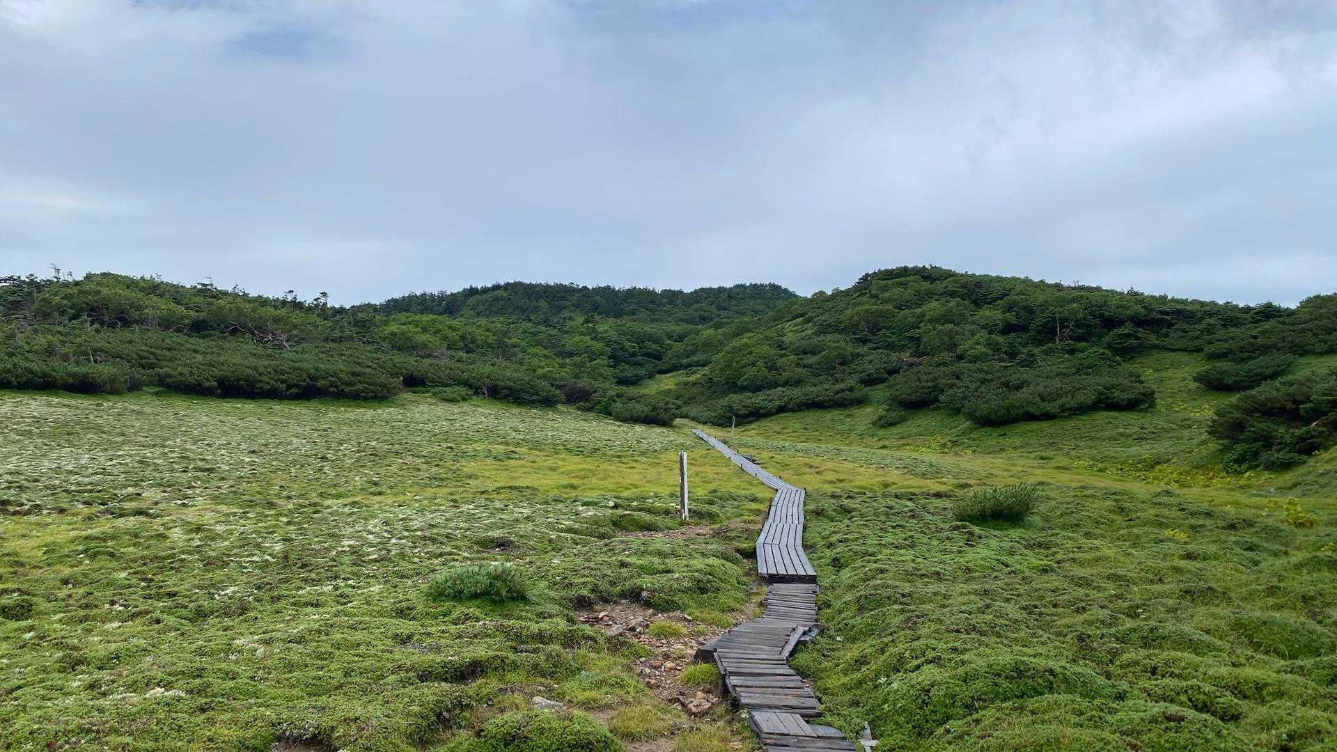 イザルガ岳-三吉平-易老岳-易老渡-芝沢ゲート 縦走コースの写真