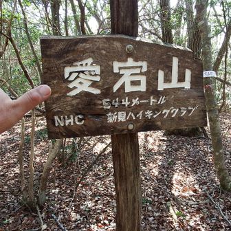 ここまではそれほど急登じゃない。３座👀