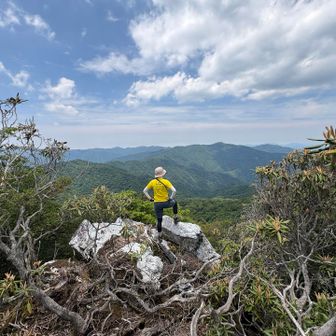 小川岳は遠いな〜って眺めるだけの人