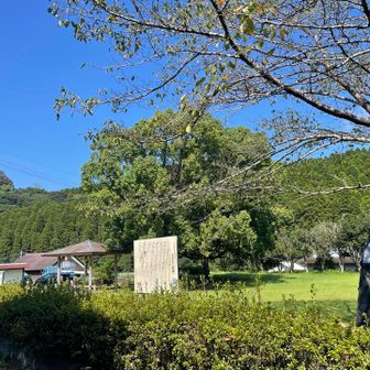 ただいま

そういえばここに恐竜🦖がいませんでしたか？