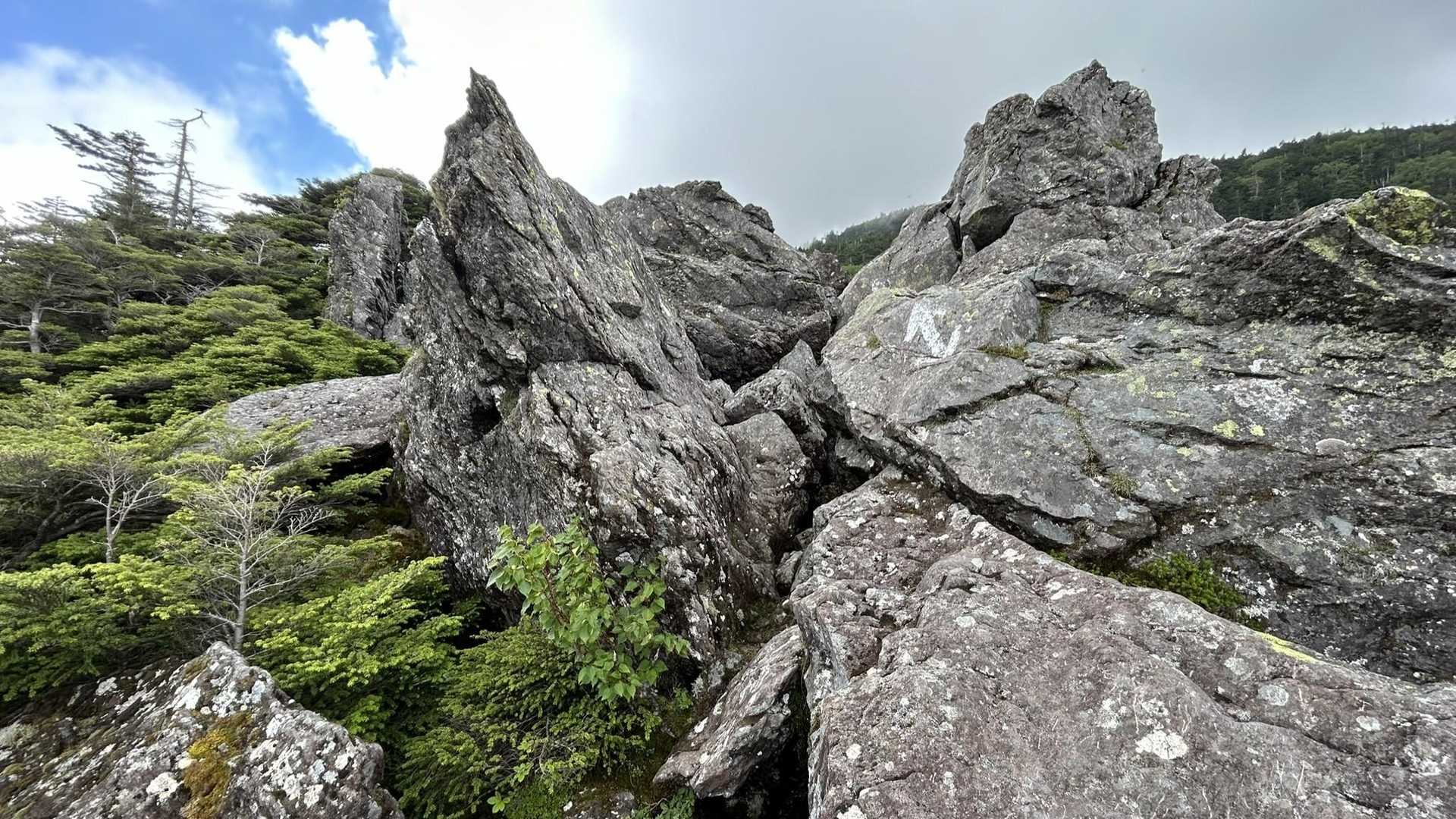 大河原峠-双子山-大岳-北横岳 周回コースの写真