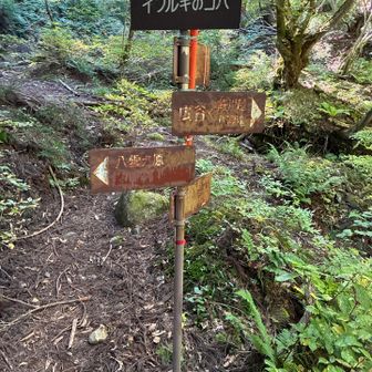 細川越へ