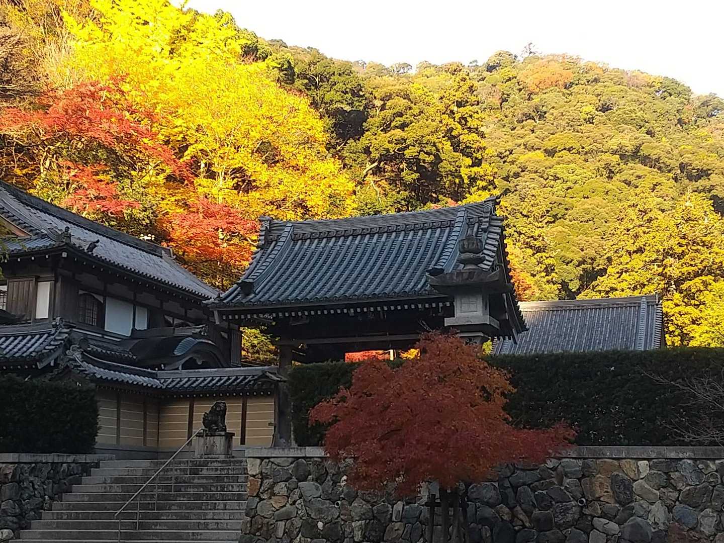 秋の色やね～