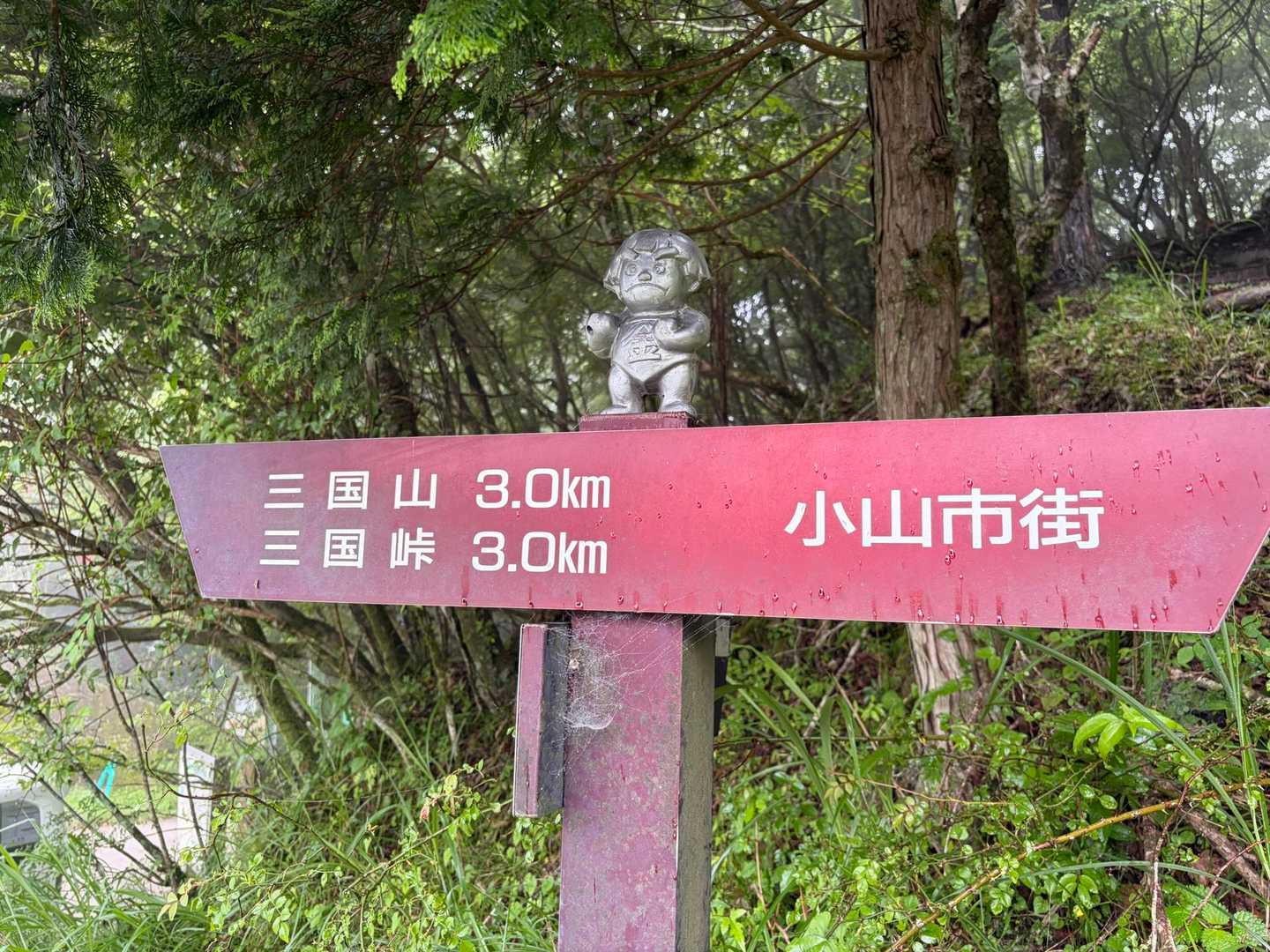 三国峠-三国山-楢木山-三国山東登山口-明神峠-明神山 周回コースの写真