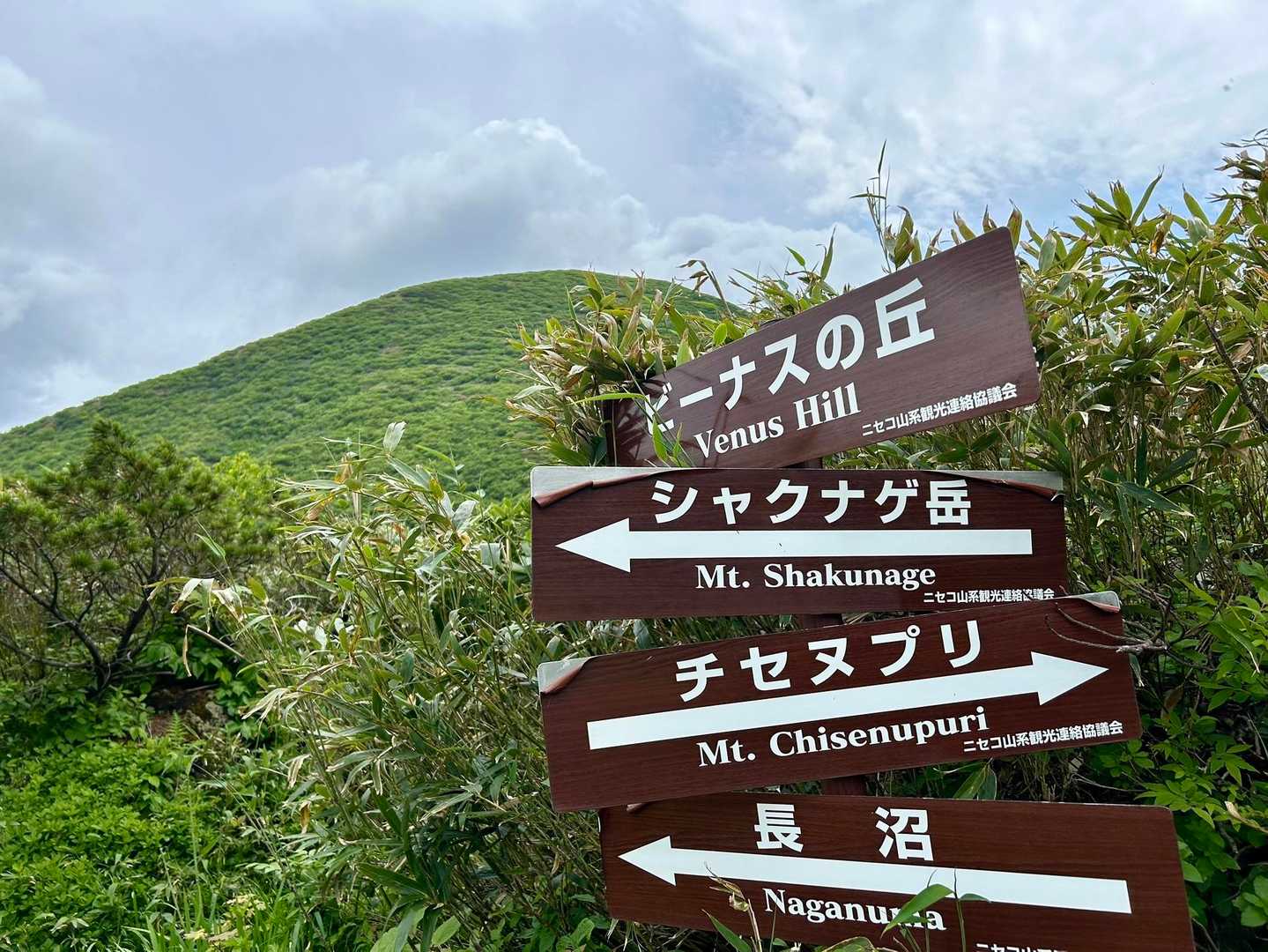 神仙沼登山口-ビーナスの丘-チセヌプリ 周回コースの写真